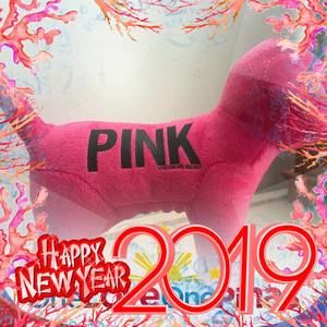 Meet your Posher, Joy